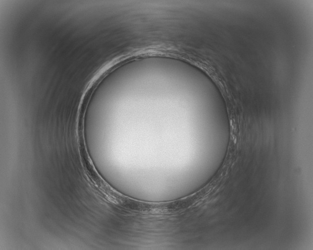 X0000080700196200612150845