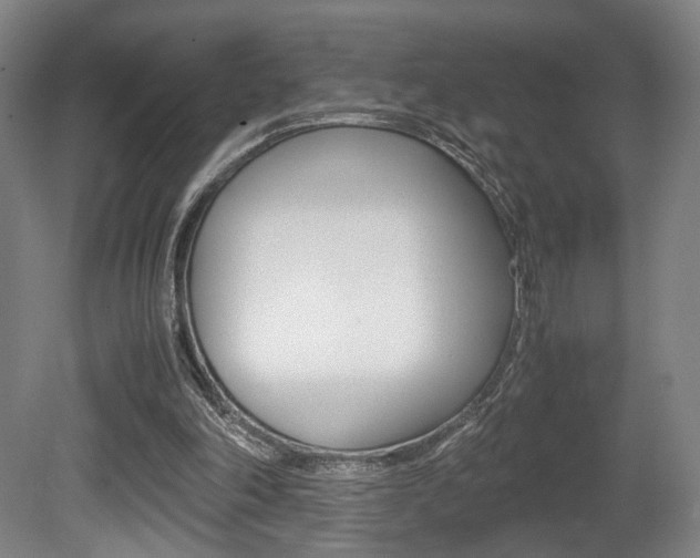 X0000080700198200612150845