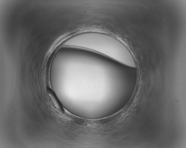 X0000080700199200612150845