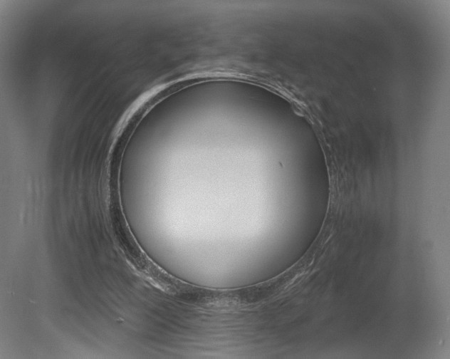 X0000080700200200612150845