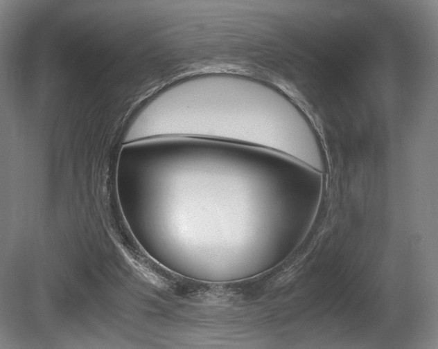 X0000080700201200612150845