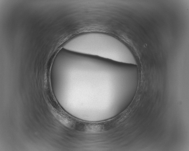 X0000080700202200612150845