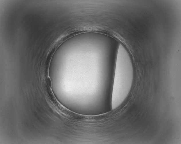 X0000080700203200612150845
