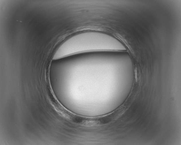 X0000080700205200612150845
