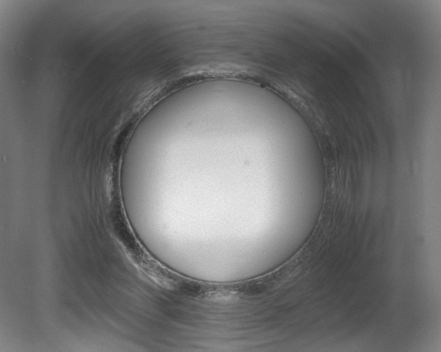 X0000080700206200612150845
