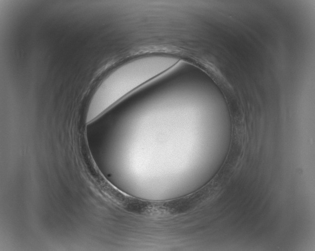 X0000080700207200612150845