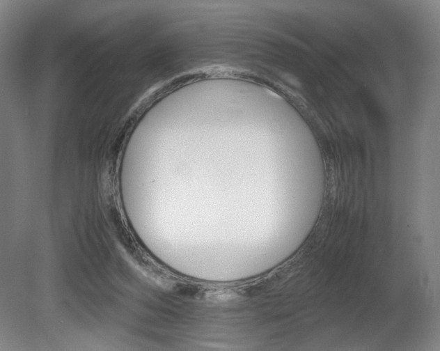 X0000080700208200612150845