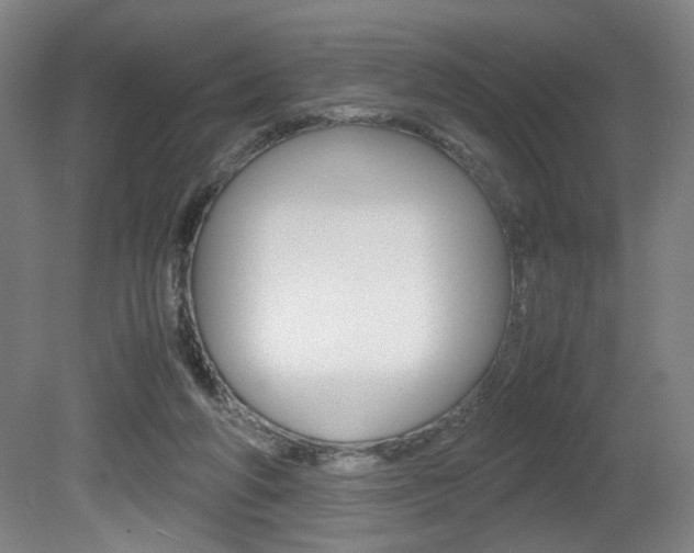 X0000080700210200612150845
