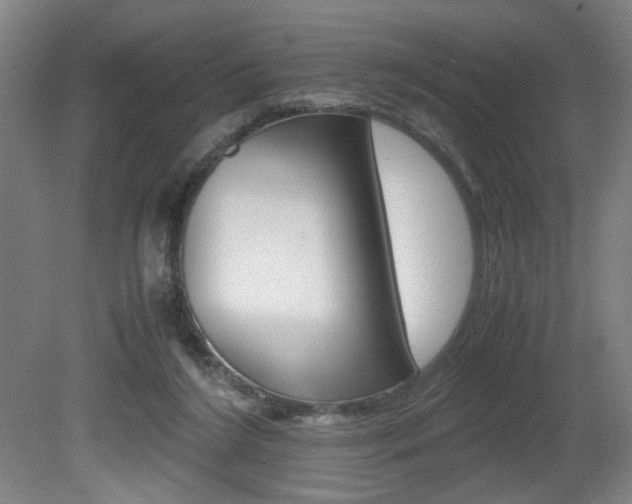 X0000080700212200612150845