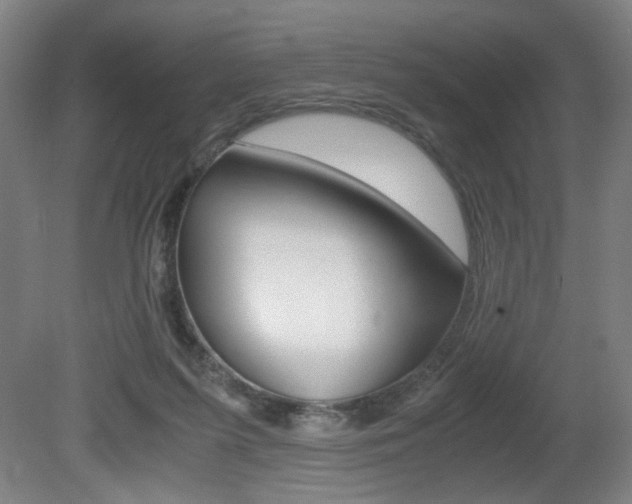 X0000080700215200612150845