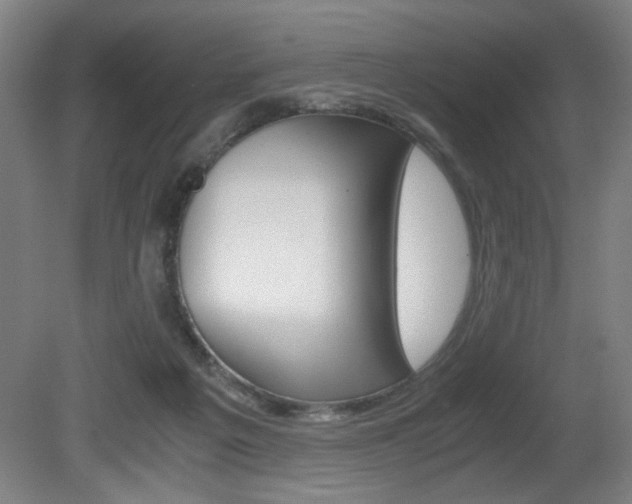 X0000080700217200612150845