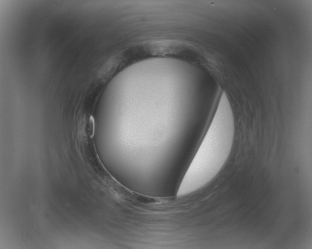 X0000080700219200612150845