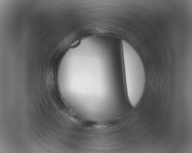X0000080700220200612150845