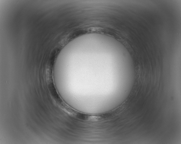 X0000080700222200612150845
