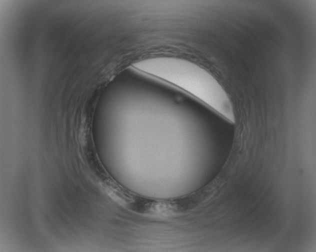 X0000080700223200612150845
