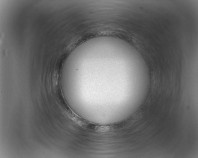 X0000080700230200612150845