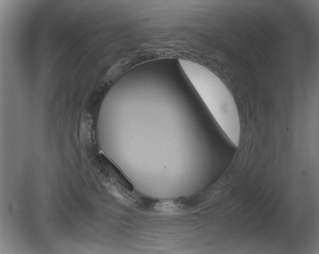 X0000080700231200612150845