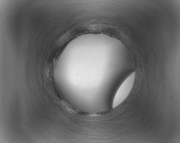 X0000080700233200612150845