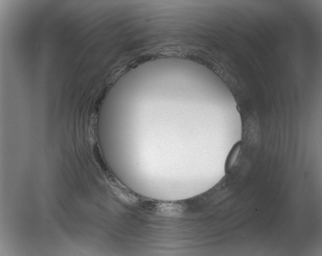 X0000080700234200612150845