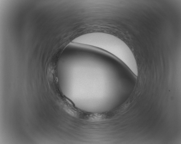 X0000080700235200612150845