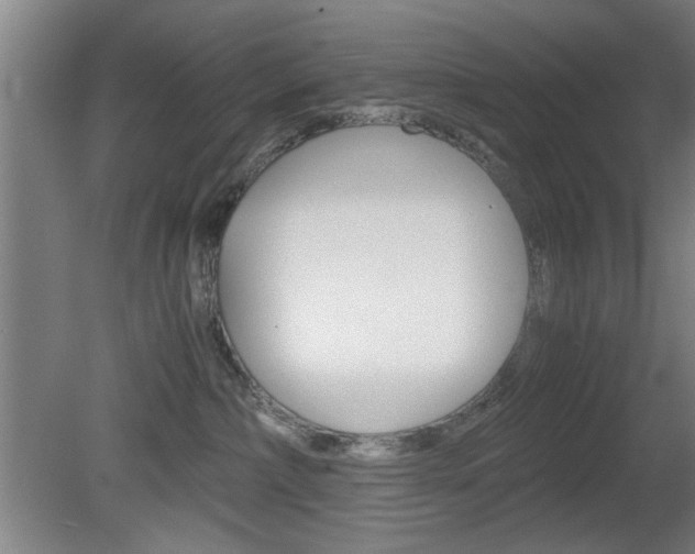 X0000080700236200612150845