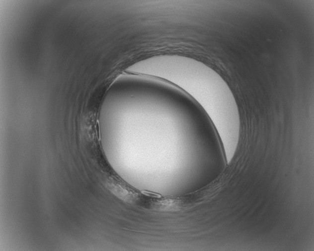 X0000080700237200612150845