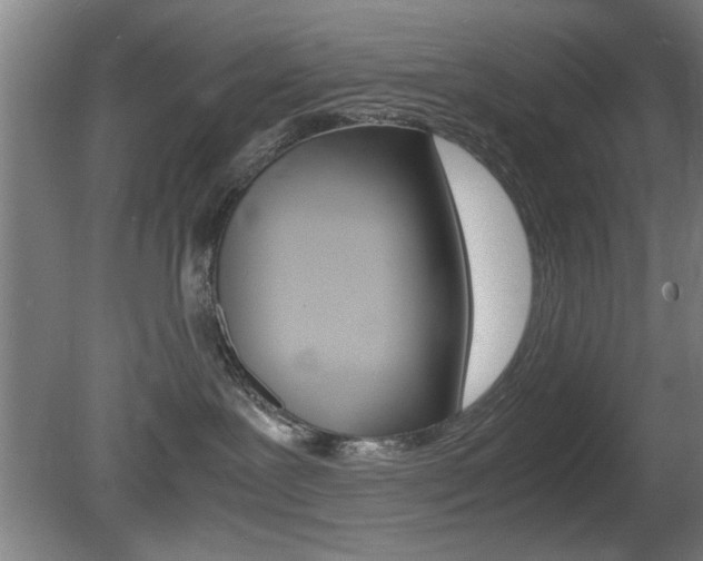 X0000080700239200612150845