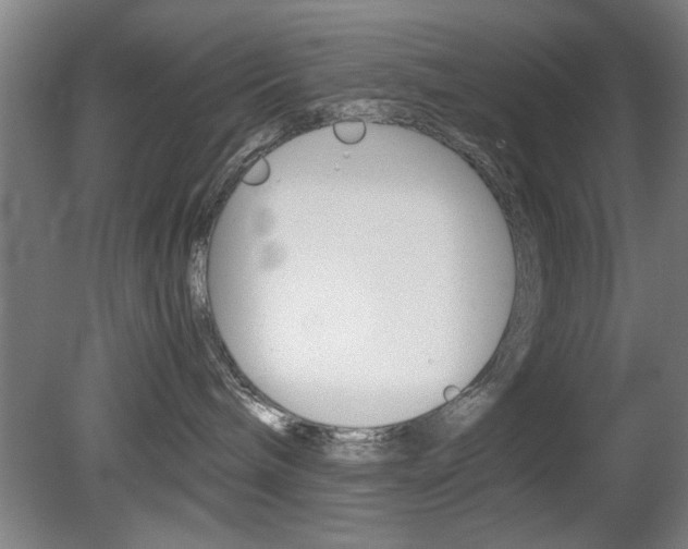 X0000080700240200612150845