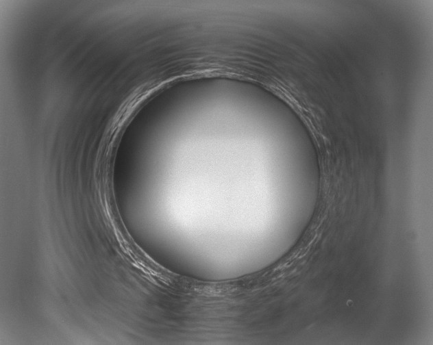 X0000080700241200612150844