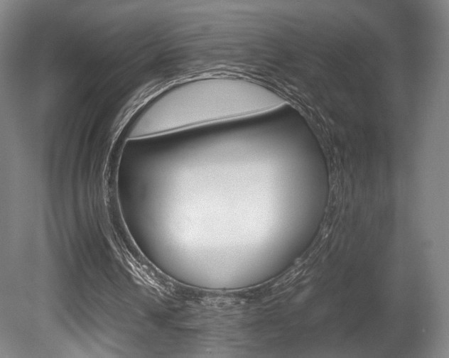 X0000080700242200612150844