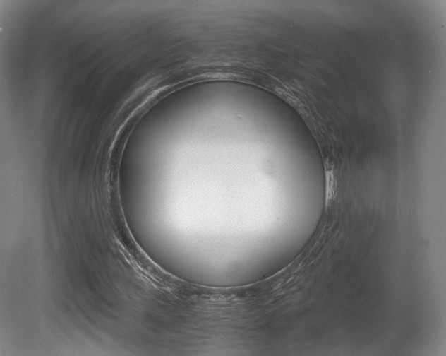 X0000080700243200612150844