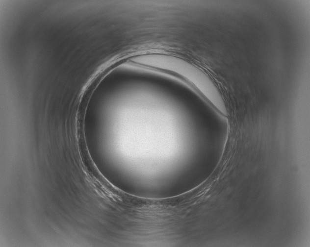 X0000080700244200612150844