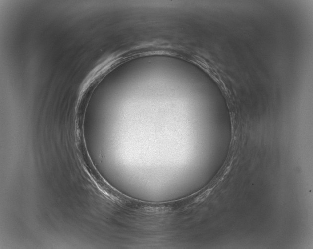 X0000080700245200612150844