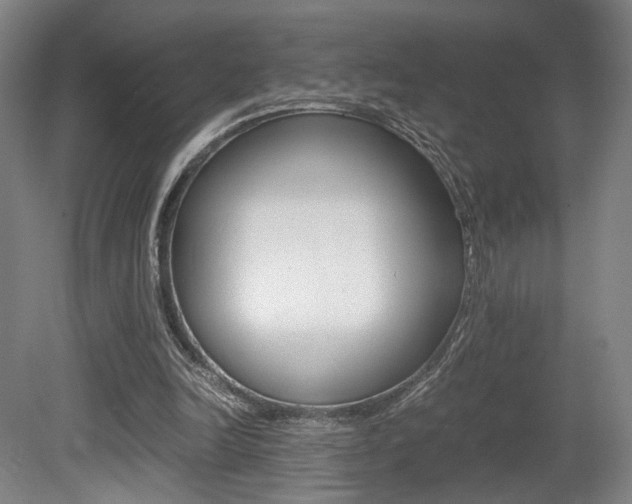 X0000080700246200612150844