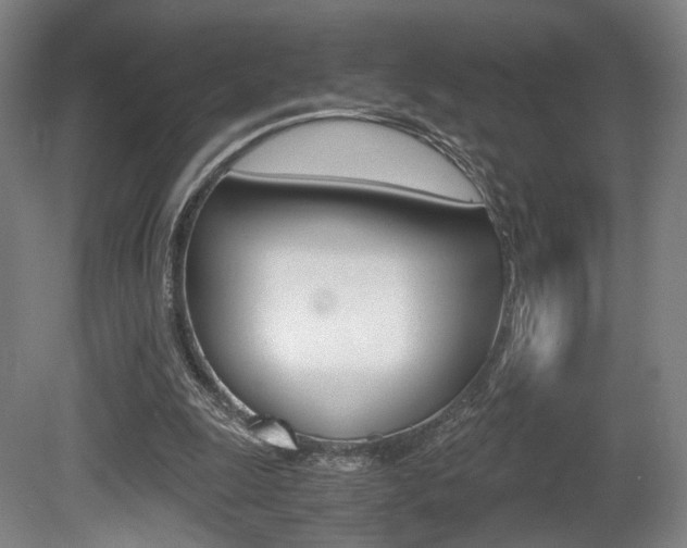 X0000080700247200612150844