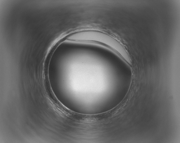 X0000080700248200612150844