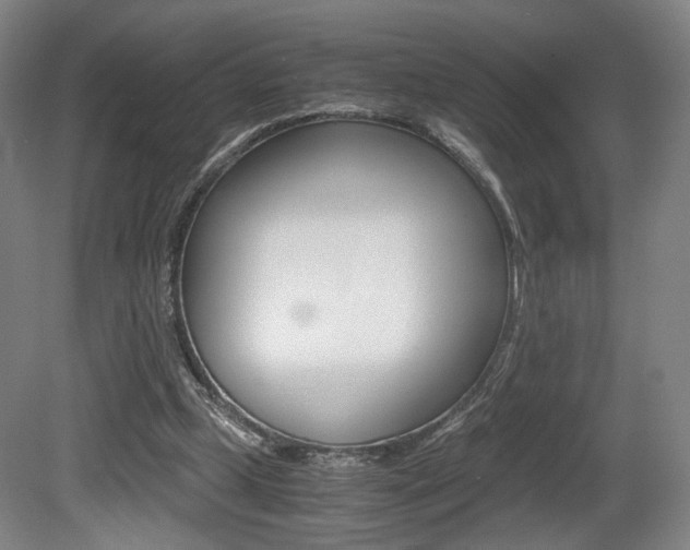 X0000080700249200612150844