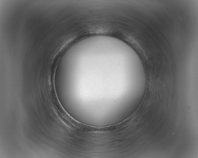 X0000080700251200612150844