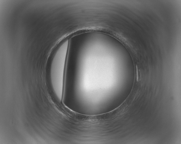 X0000080700252200612150844