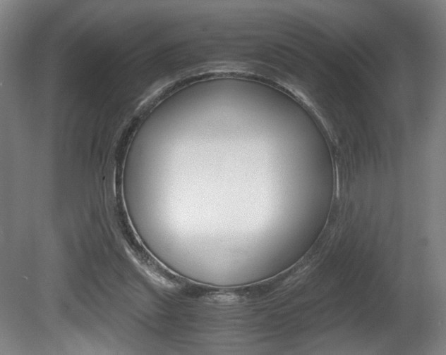 X0000080700253200612150844