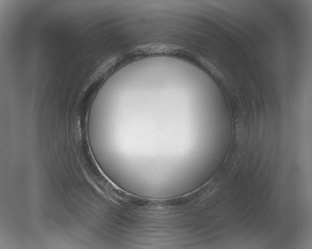 X0000080700254200612150844