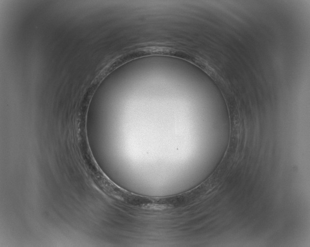 X0000080700255200612150844