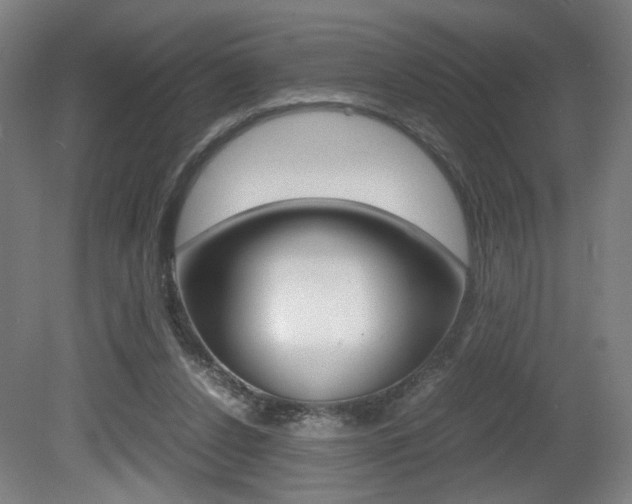 X0000080700256200612150844