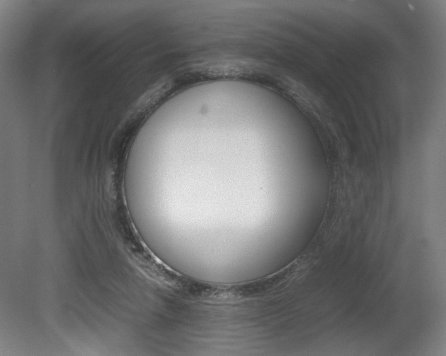 X0000080700258200612150844