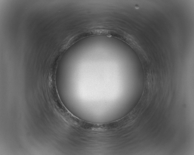 X0000080700259200612150844