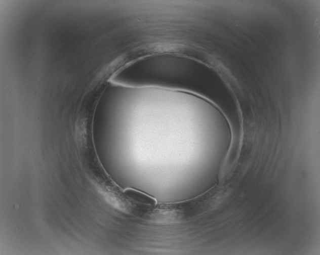X0000080700260200612150844