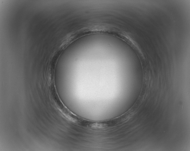 X0000080700261200612150844