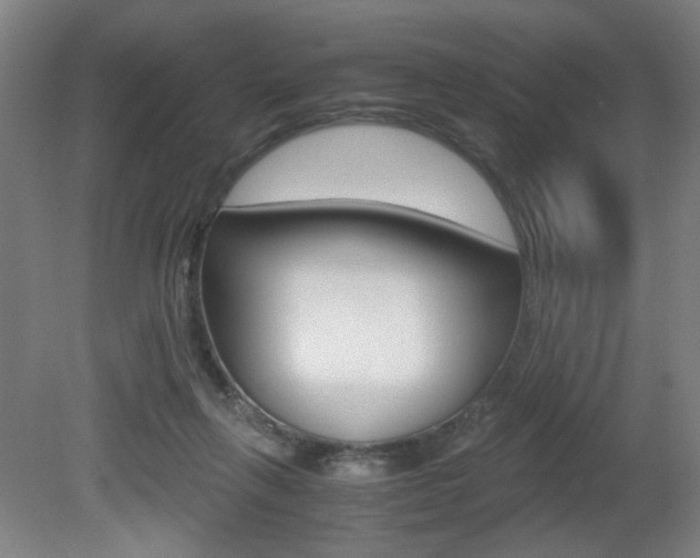 X0000080700263200612150844