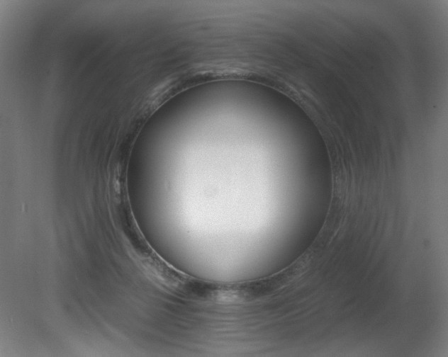 X0000080700264200612150844
