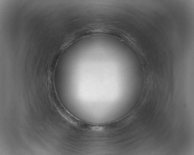 X0000080700265200612150844